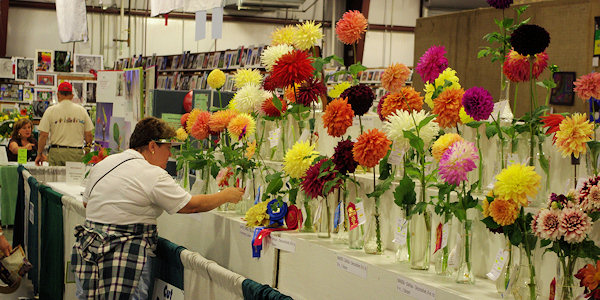 NC Mountain State Fair