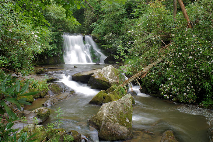 Yellow Creek Falls NC Yellow Creek Falls NC