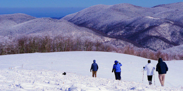 Max Patch Hike NC