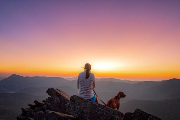 Pet-Friendly Places to Stay in Asheville Pet-Friendly Places to Stay in Asheville
