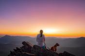 Pet-Friendly Places to Stay in Asheville Pet-Friendly Places to Stay in Asheville