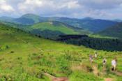 Black Balsam Knob