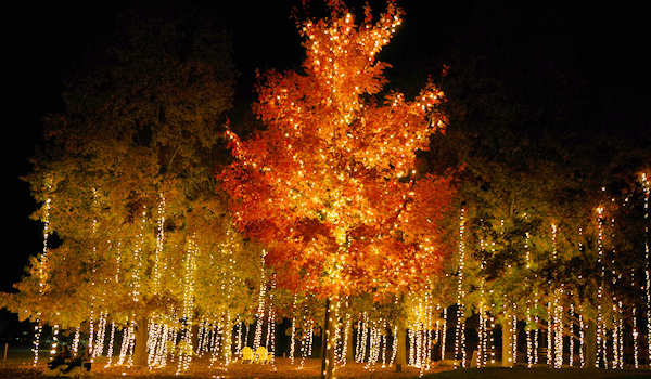 Antler Hill Village, Biltmore