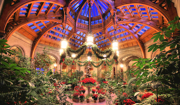 Biltmore House Christmas, Winter Garden