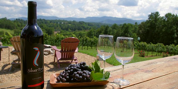 Morganton Wineries